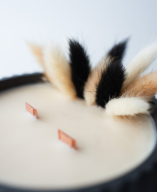 La bougie du mois – Novembre