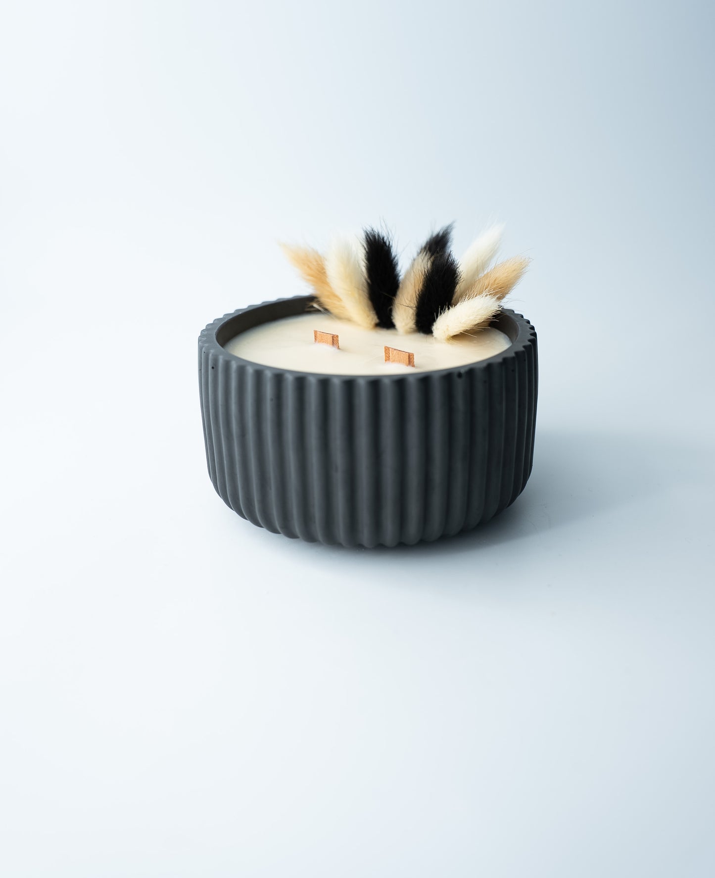 La bougie du mois – Novembre