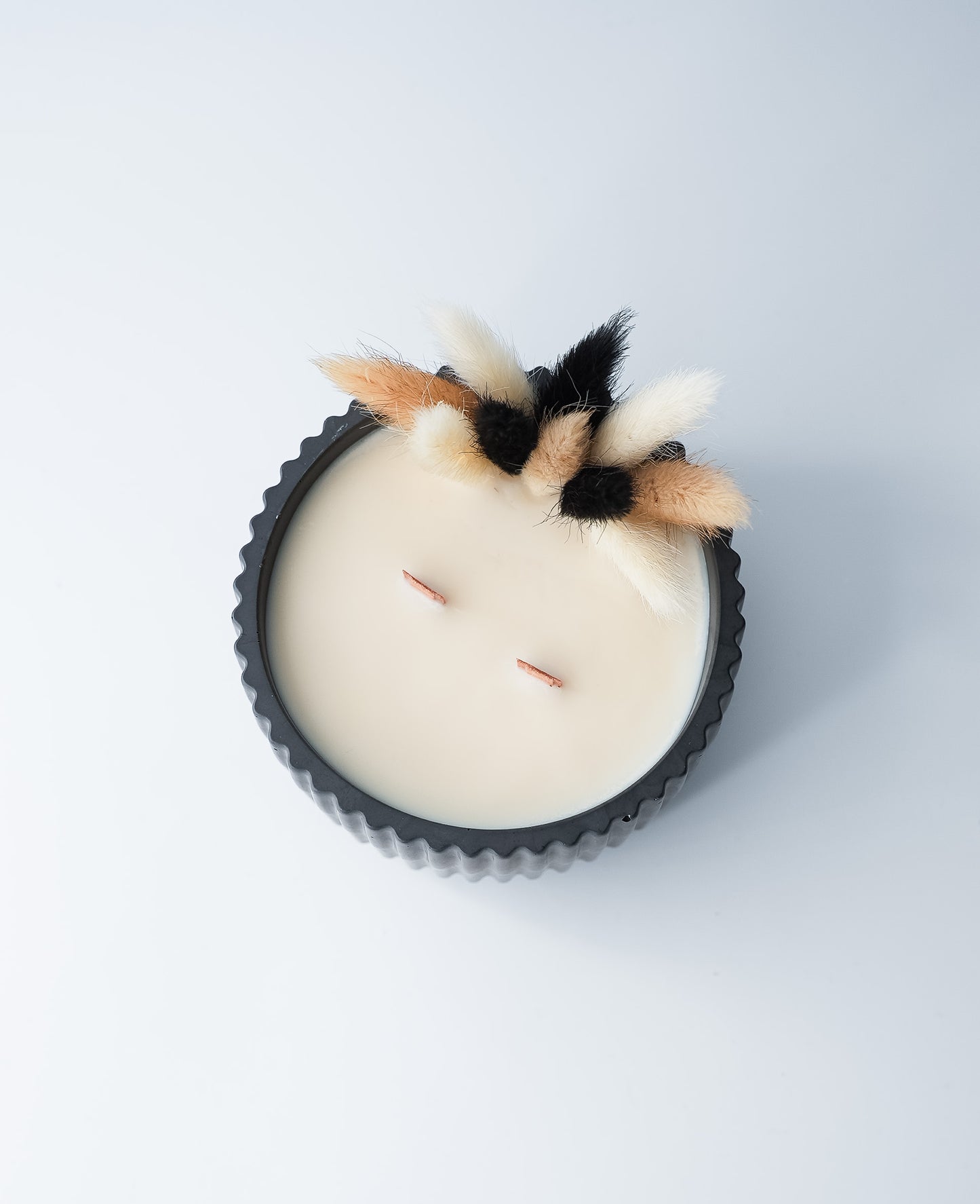 La bougie du mois – Novembre