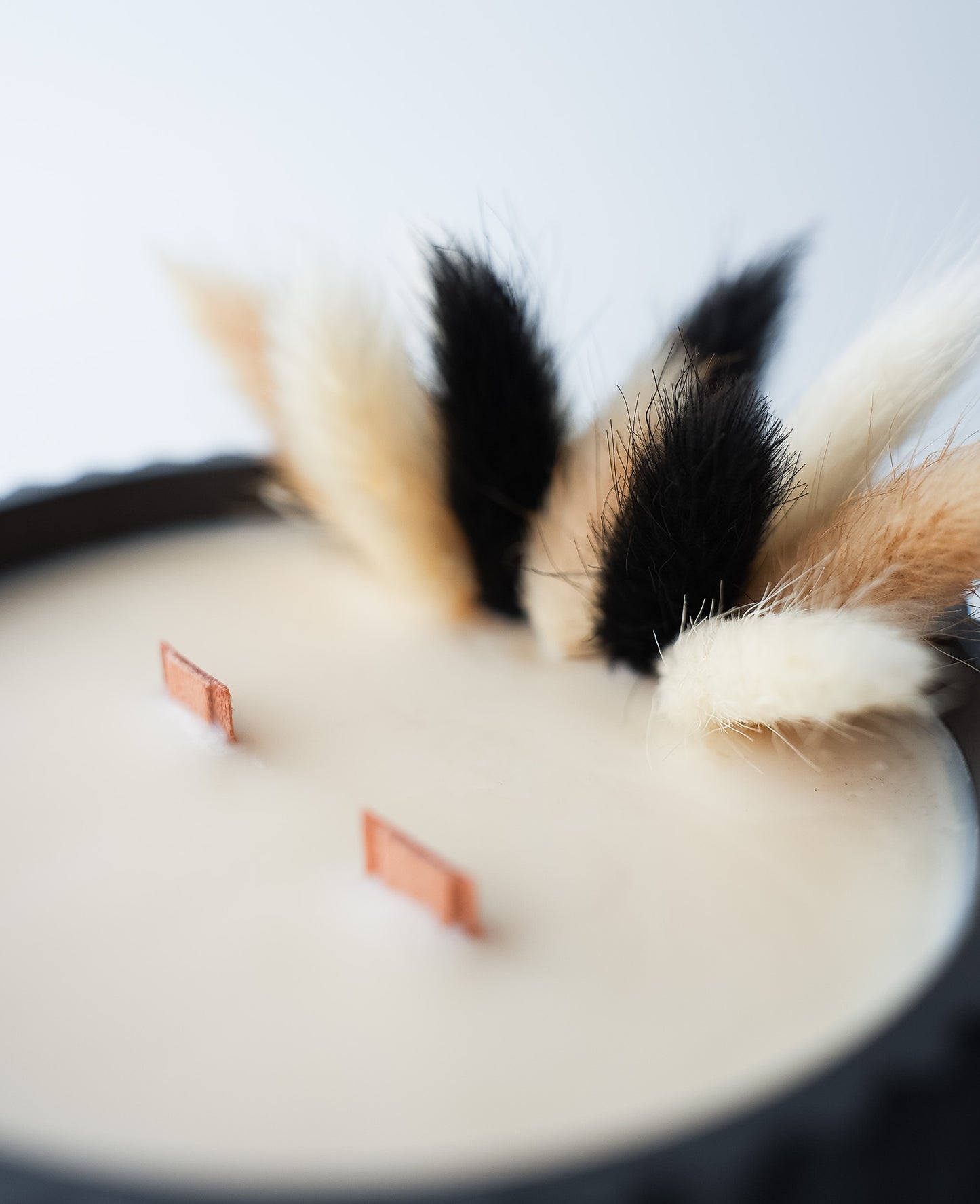 La bougie du mois – Novembre