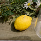 Bougies Trio Citron – Format réaliste