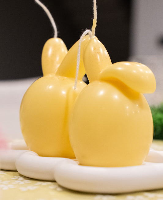 Duo d’œufs aux oreilles de lapin