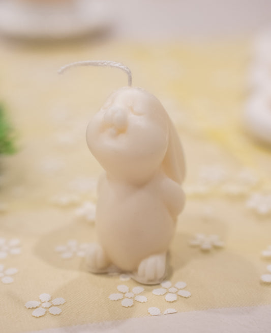 Duo de petits lapins