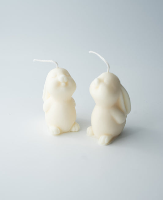 Duo de petits lapins
