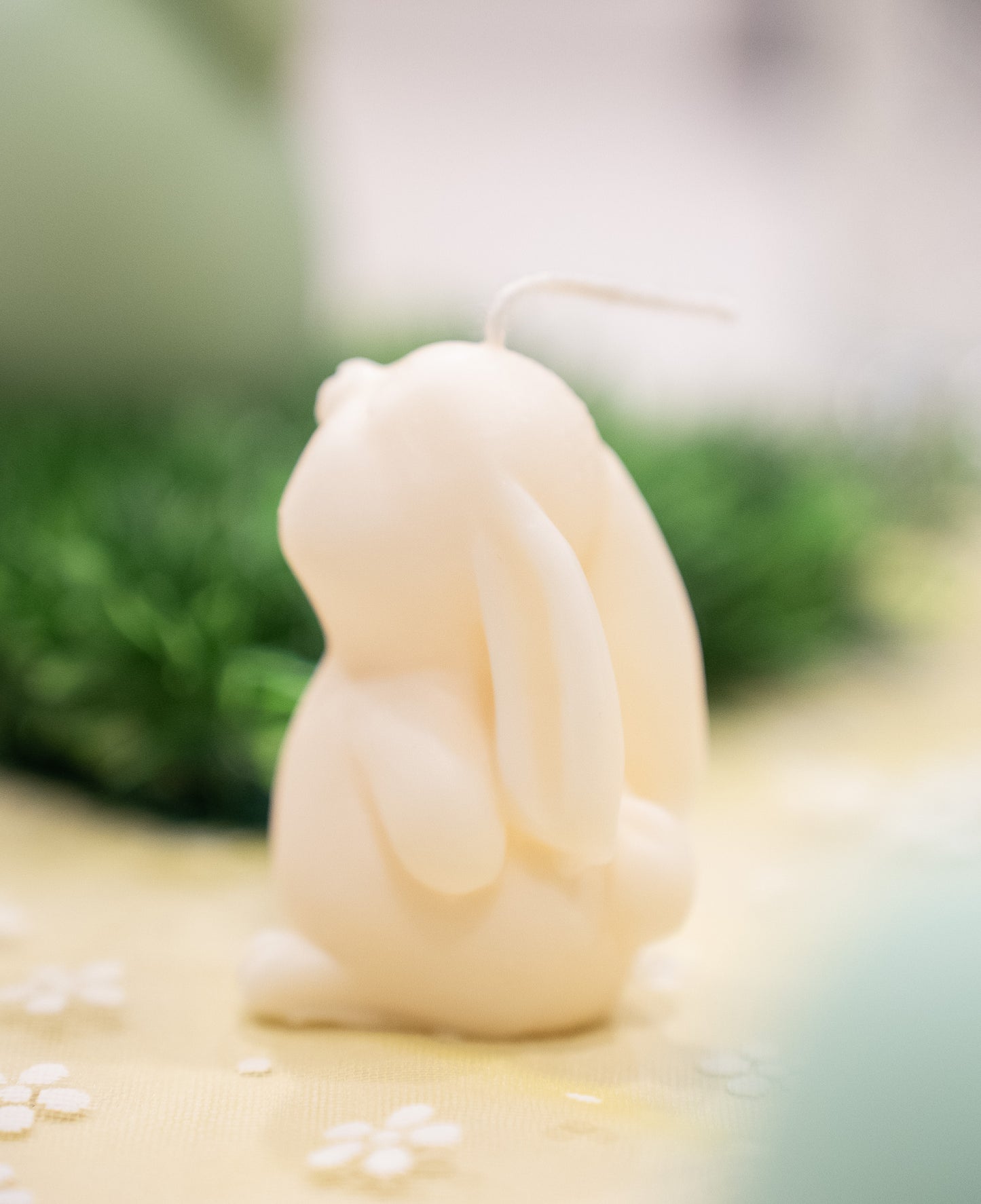 Duo de petits lapins